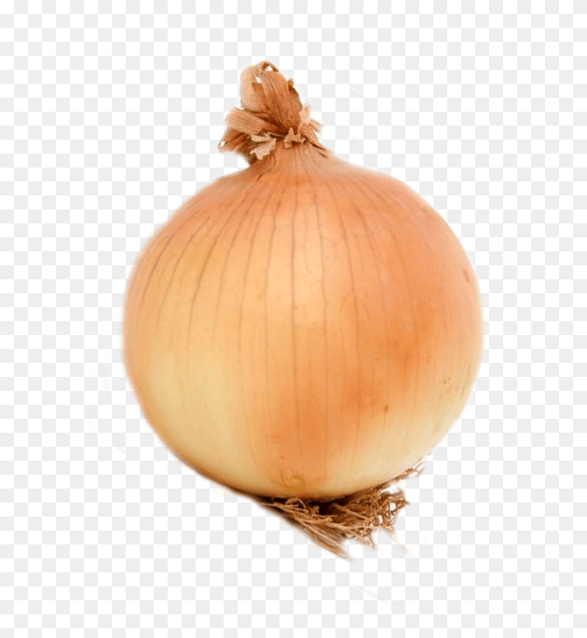 2436x2669 Onion, Plant, Vegetable, Food HD PNG Download