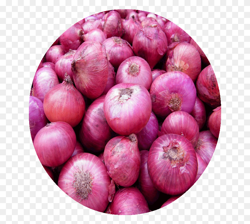 647x690 Onion Bellary Onion, Plant, Shallot, Vegetable HD PNG Download
