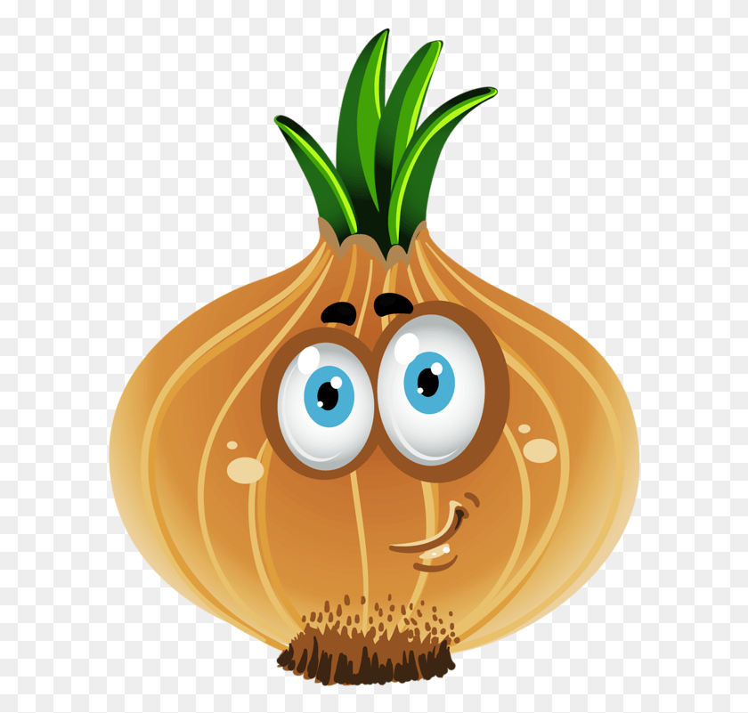 599x741 Onion Cartoon, Plant, Vegetable, Food HD PNG Download