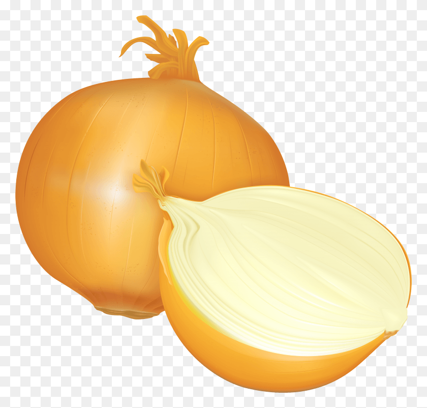 3431x3268 Onion Clipart, Plant, Vegetable, Food HD PNG Download