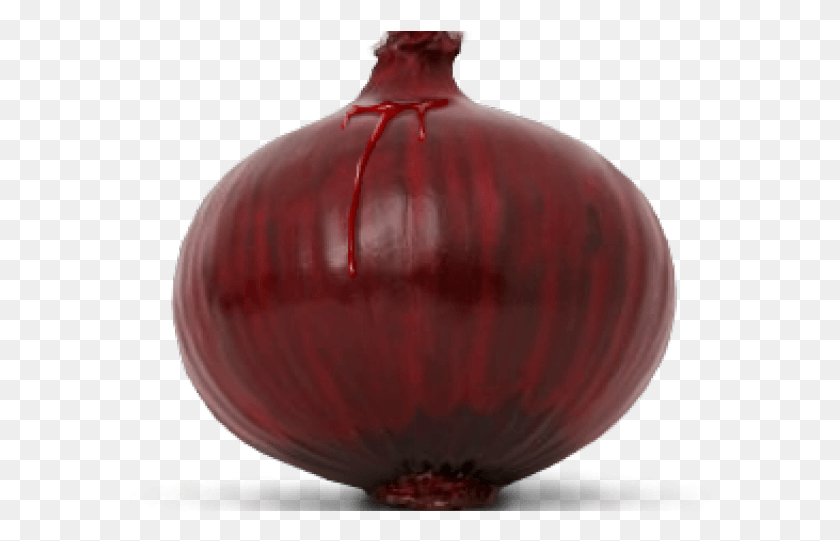 582x481 Onion Transparent Images Vase, Plant, Shallot, Vegetable HD PNG Download