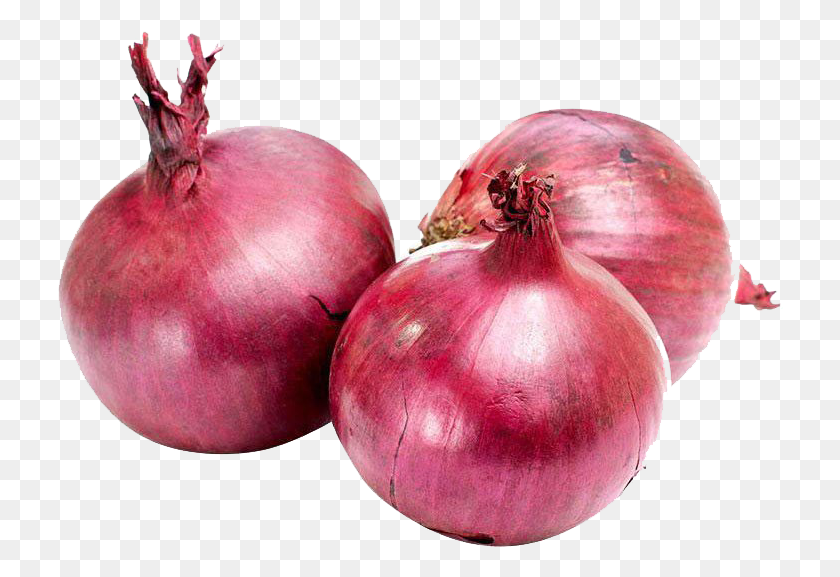 726x517 Onion Varieties Of India, Plant, Shallot, Vegetable HD PNG Download