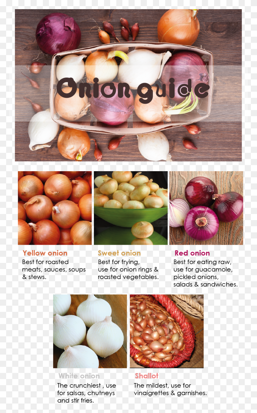 955x1581 Onions, Plant, Onion, Vegetable HD PNG Download