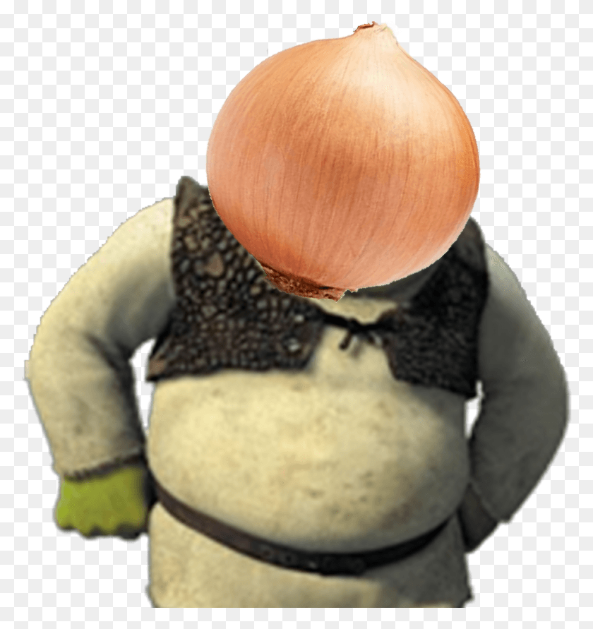 2323x2476 Onions Are Ogres Shrek Onion Transparent, Plant, Person, Human HD PNG Download