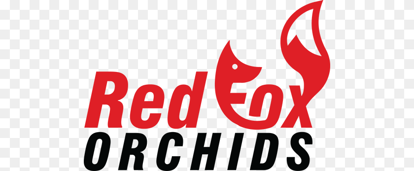 Online Orchids For Sale Red Fox Orchids, Outdoors, Nature Transparent PNG