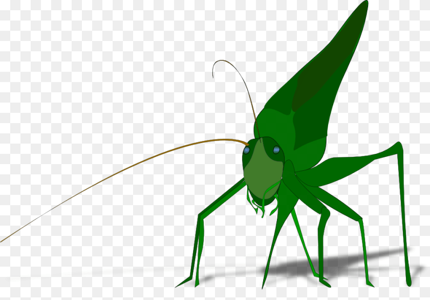 1000x696 Onlinelabels Clip Art, Animal, Grasshopper, Insect, Invertebrate Sticker PNG