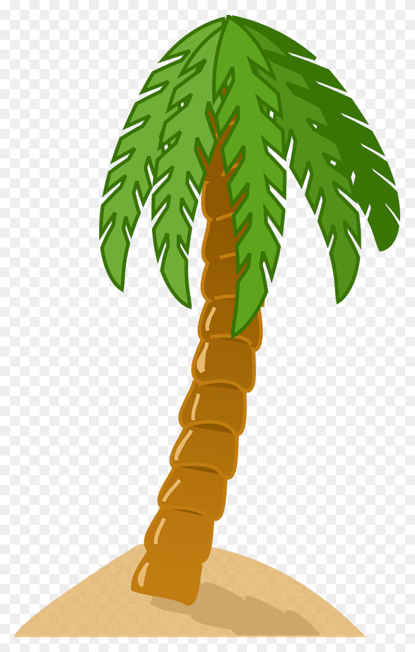 794x1280 Onlinelabels Clip Art Palm Tree Clip Art, Plant, Tree, Arecaceae HD PNG Download