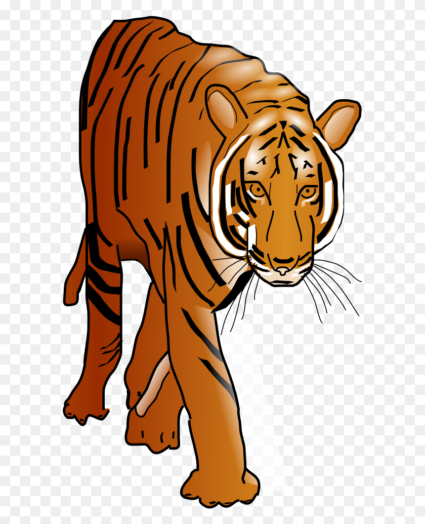 593x975 Onlinelabels Clip Art Tiger Animated Gif, Wildlife, Mammal, Animal HD PNG Download