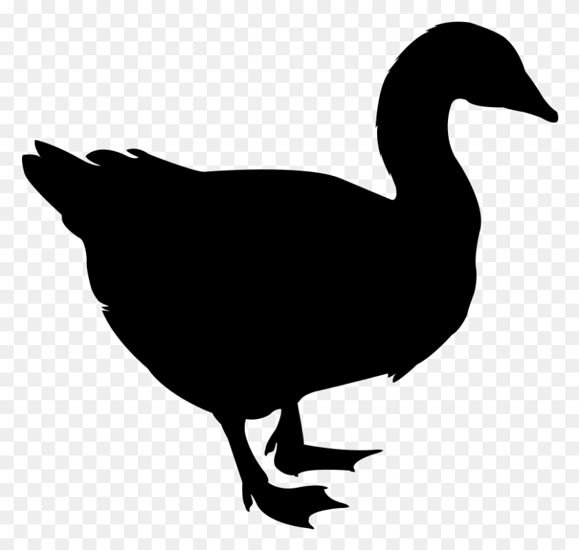 804x760 Only In Our Absence A Flock Of Canadian Geese Had Silhouette Oie, Gray, World Of Warcraft HD PNG Download
