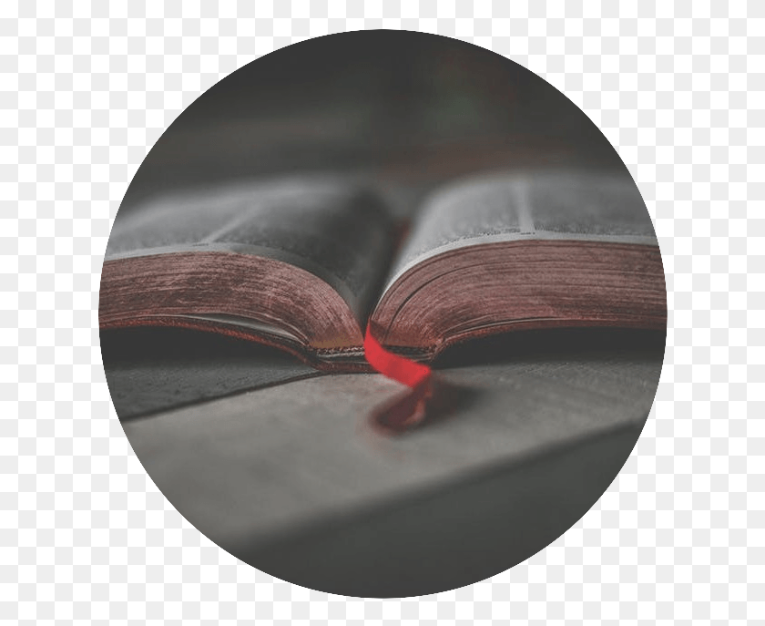 627x627 Descargar Png / Biblia Abierta, Libro, Novela, Gafas De Sol Hd Png
