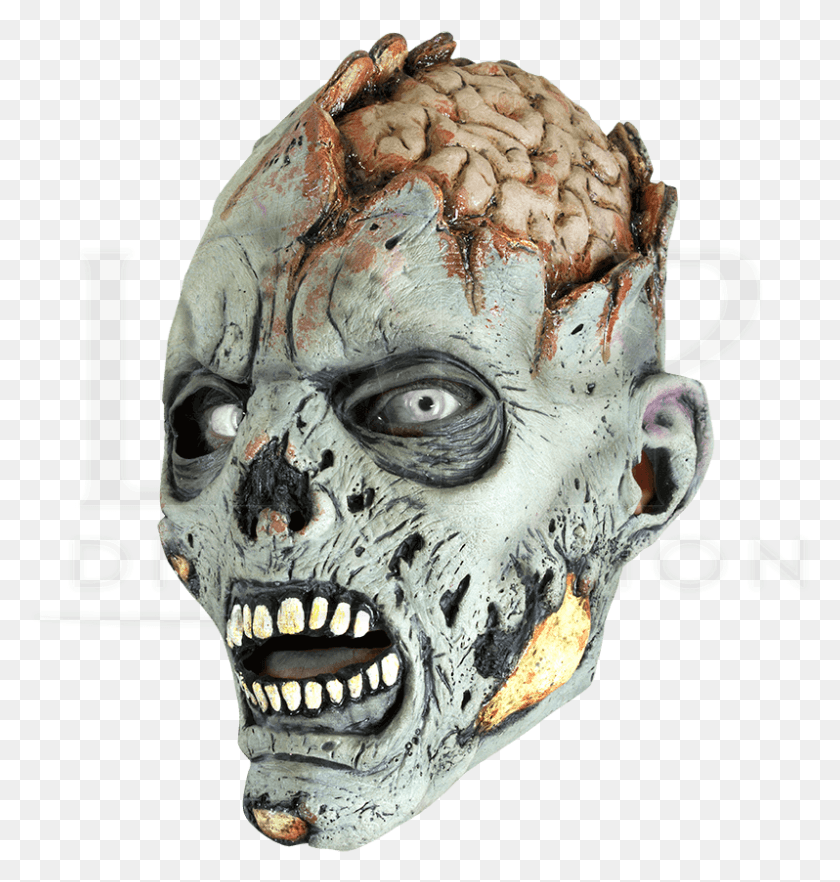 798x841 Descargar Png / Máscara De Zombie De Cerebro Abierto, Cabeza, Alien Hd Png