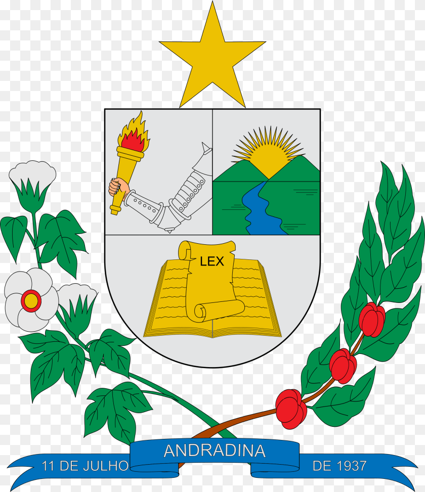 Open Brasao Andradina, Leaf, Plant, Symbol Transparent PNG