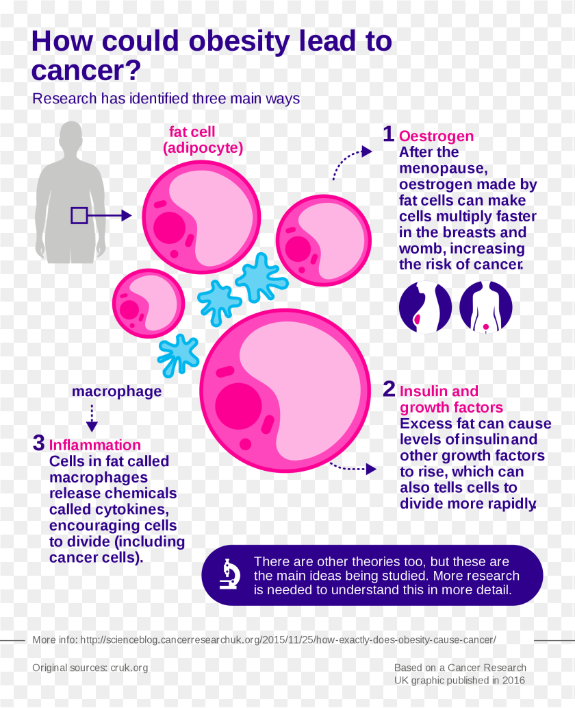 Open Cancer Research Uk Obesity, Advertisement, Poster, Adult, Person Clipart PNG
