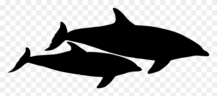 1952x784 Открытый Хвост Дельфина Плавник Против Акулы, Серый, Мир Варкрафта Png Скачать