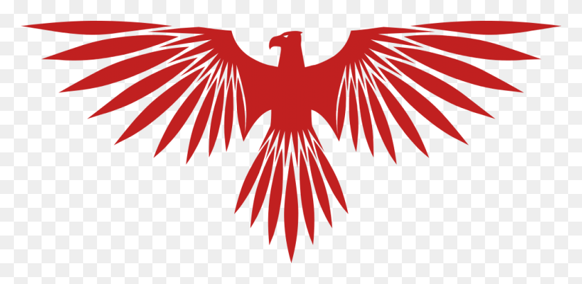 1000x450 Símbolo De Águila Abierta, Pájaro, Animal, Emblema Hd Png