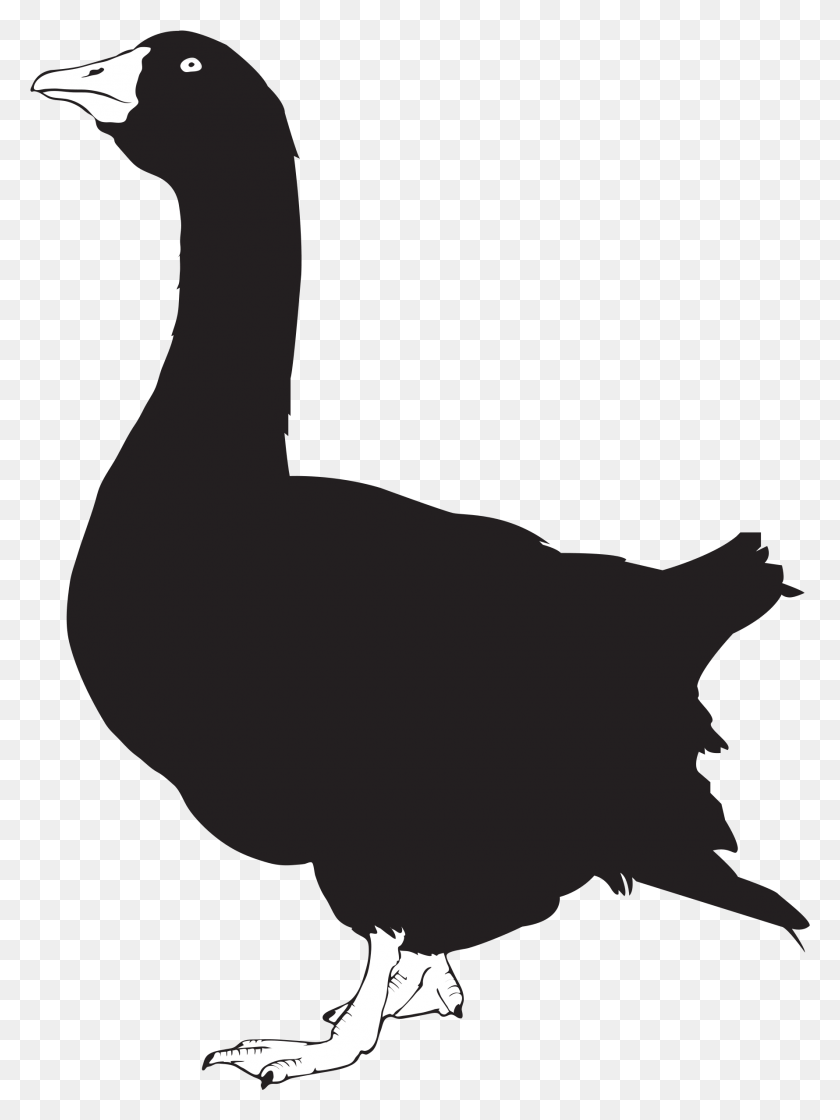 1780x2419 Open Goose Silhouette, Animal, Bird HD PNG Download
