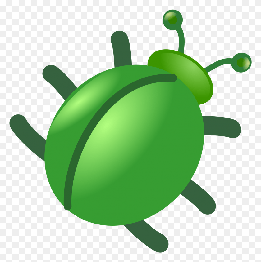 1955x1969 Open Green Bug, Invertebrate, Animal, Insect HD PNG Download