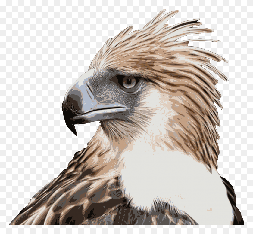 2000x1846 Open Philippine Eagle Logo, Bird, Animal, Beak HD PNG Download