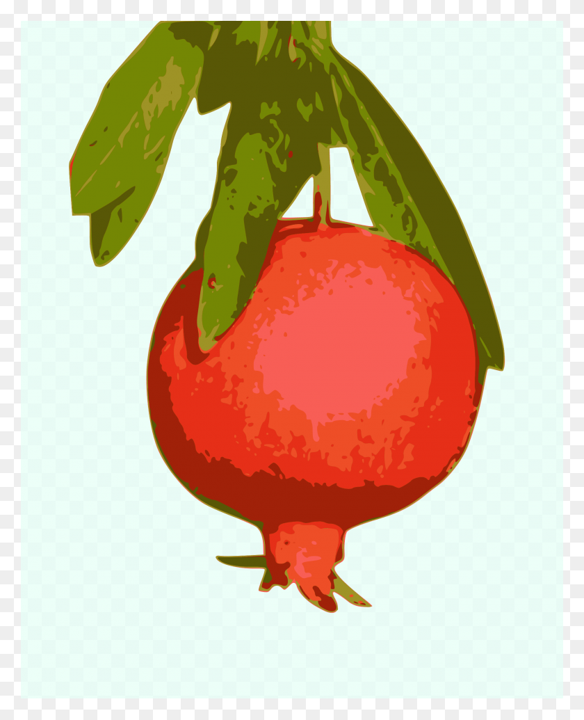 2000x2500 Open Pixlet Pomegranat, Растение, Фрукты, Еда Hd Png Скачать