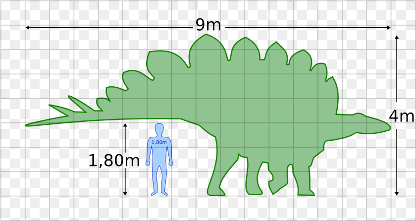Open Stegosaurus Human, Silhouette, Green, Person, Chart Sticker PNG