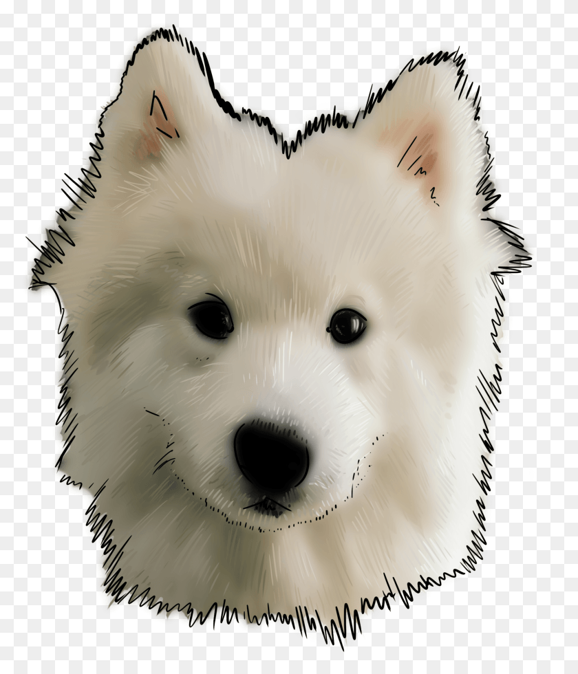 2517x2971 Or Like 12 Other Names Is A, White Dog, Dog, Pet HD PNG Download