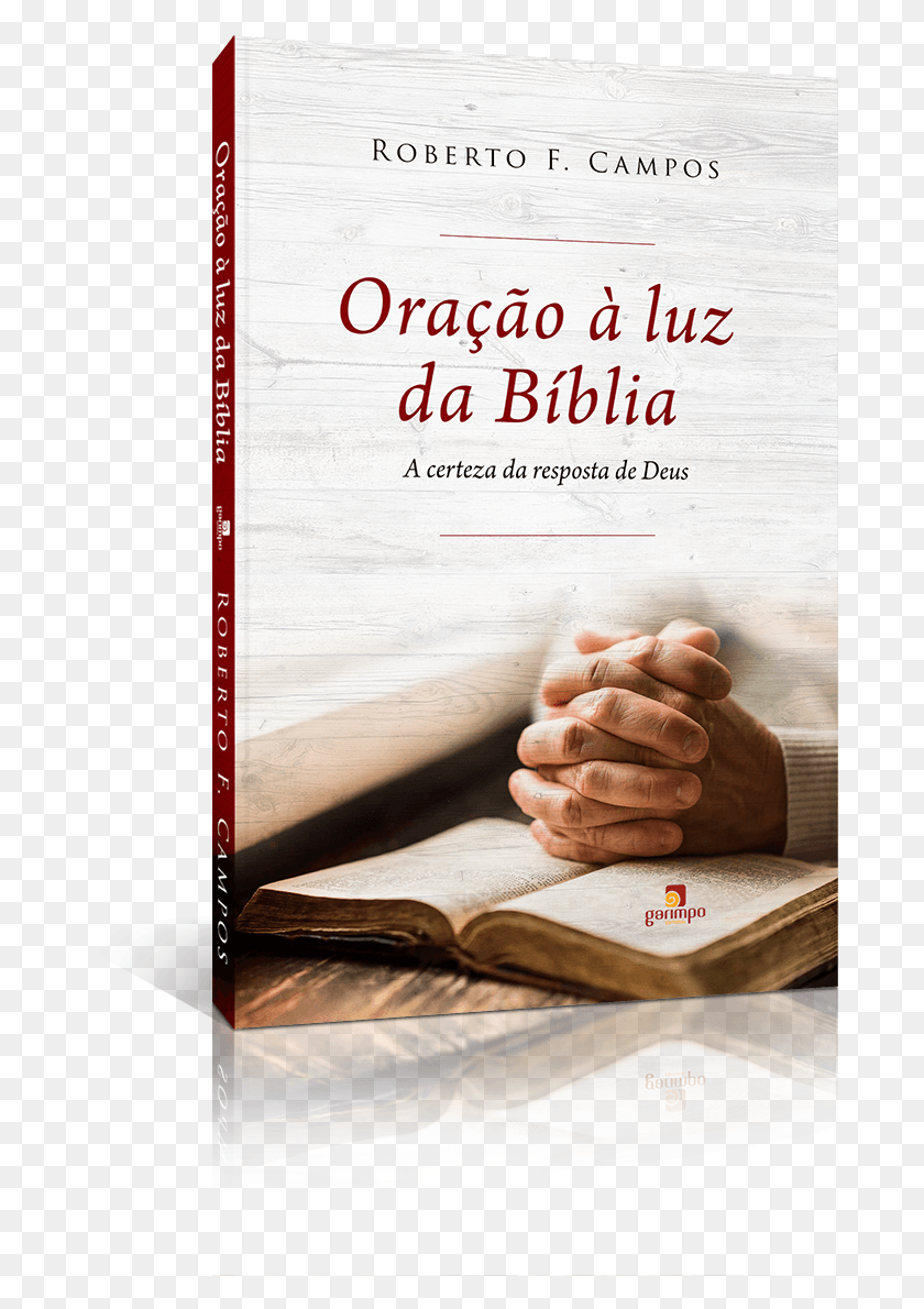 685x1130 Oracao A Luz Da Biblia Flyer, Book, Worship, Prayer HD PNG Download