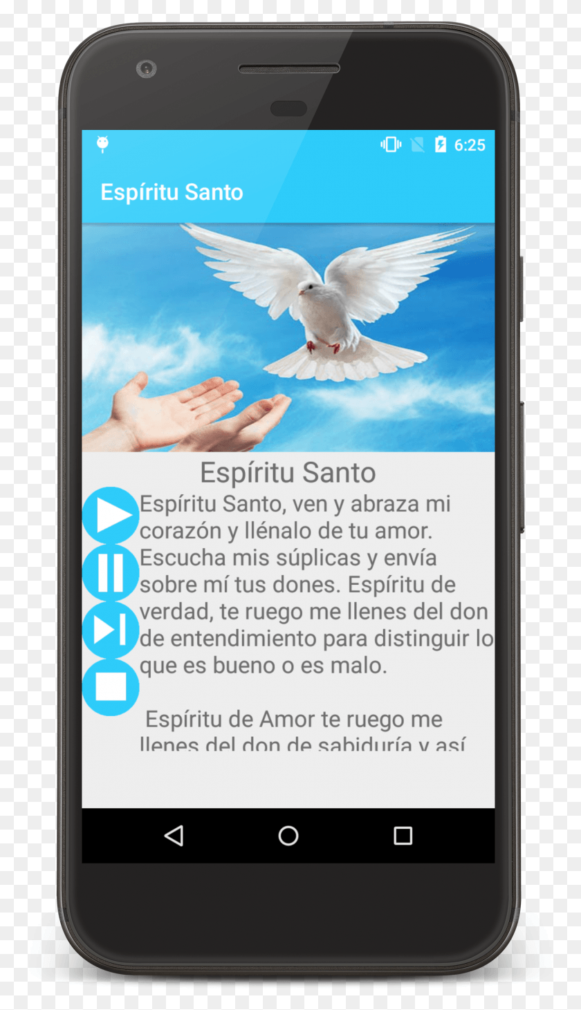 1411x2536 Descargar Png / Oracion Por Mi Colegio, Bird, Animal, Mobile Phone Hd Png
