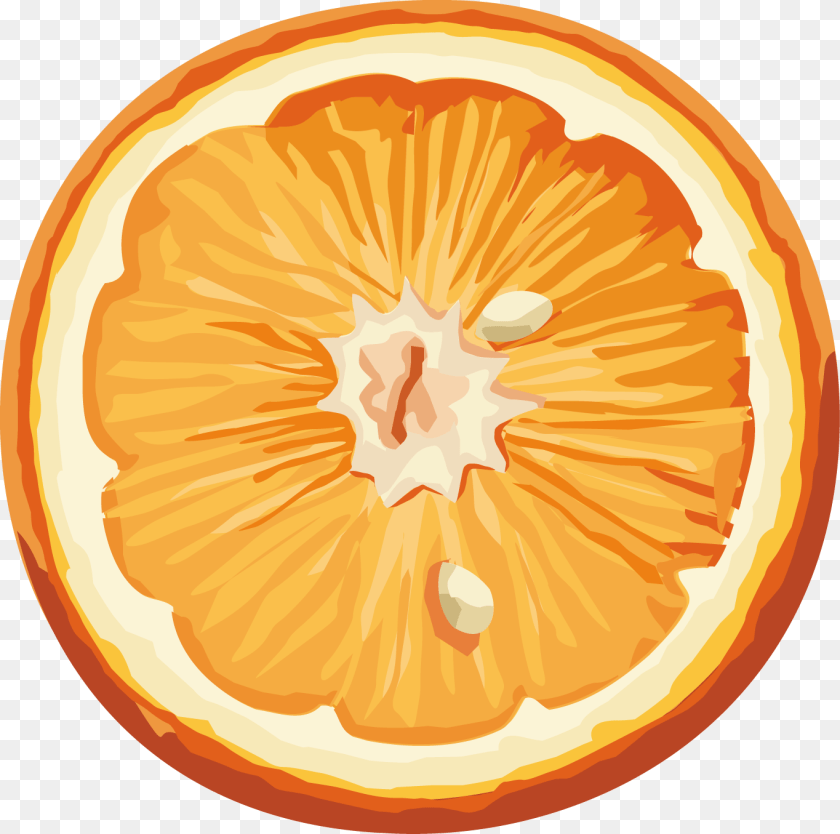 1365x1355 Orange, Produce, Citrus Fruit, Food, Fruit PNG