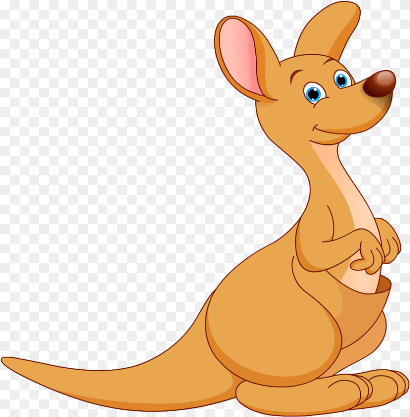 848x864 Orange Clipart Kangaroo Cartoon Picture Of A Kangaroo, Animal, Mammal, Cat, Pet Transparent PNG