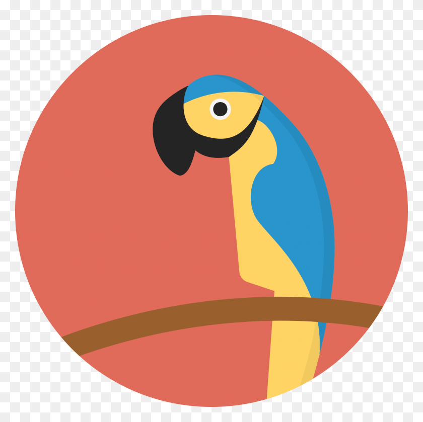 2000x2000 Orange Clipart Parrot Parrot Svg, Face, Text, Photography HD PNG Download