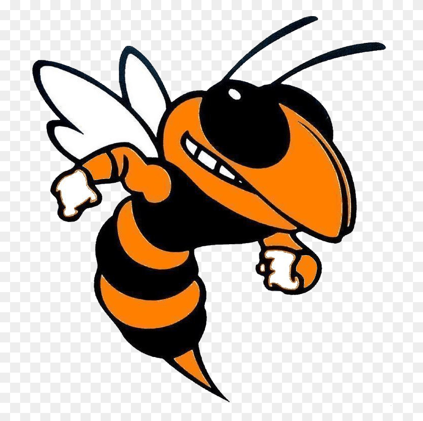 714x776 Orange County High School Hornet, Wasp, Bee, Insect HD PNG Download