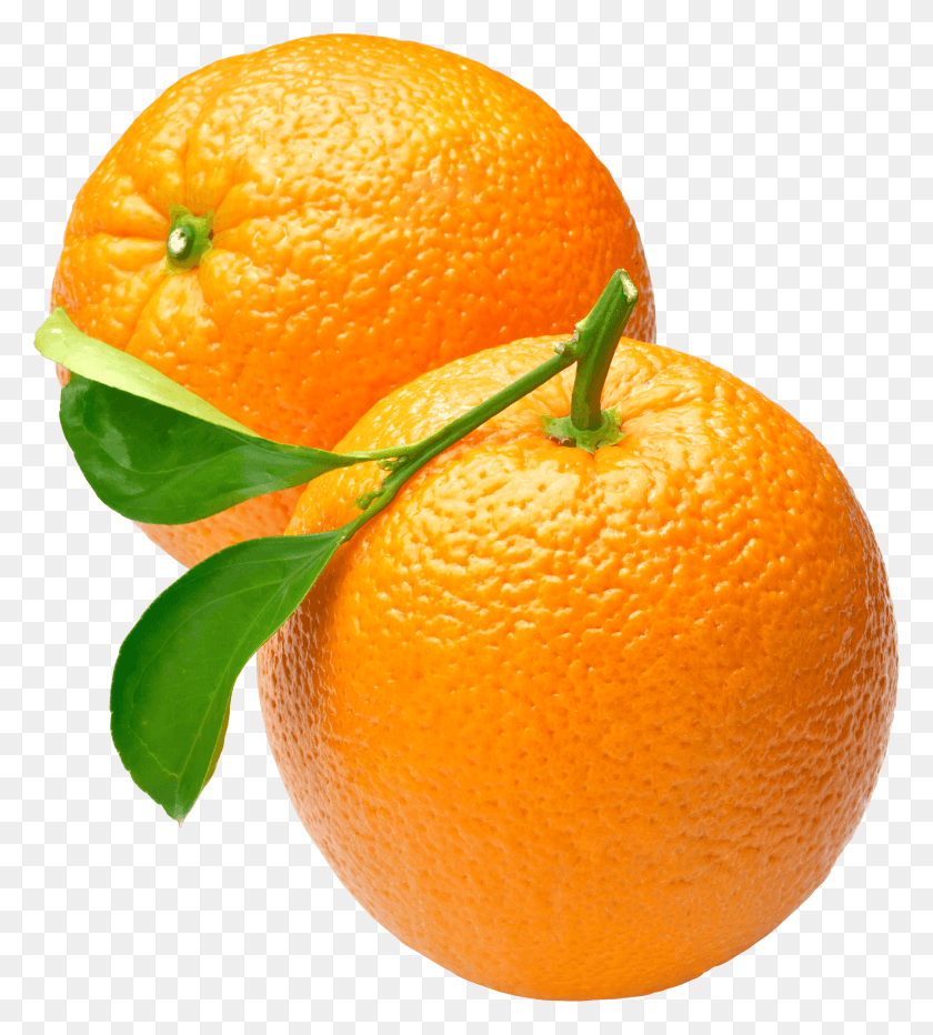 2305x2577 Апельсиновый Дуэт Апельсин, Цитрусовые, Фрукты, Растение Hd Png Скачать