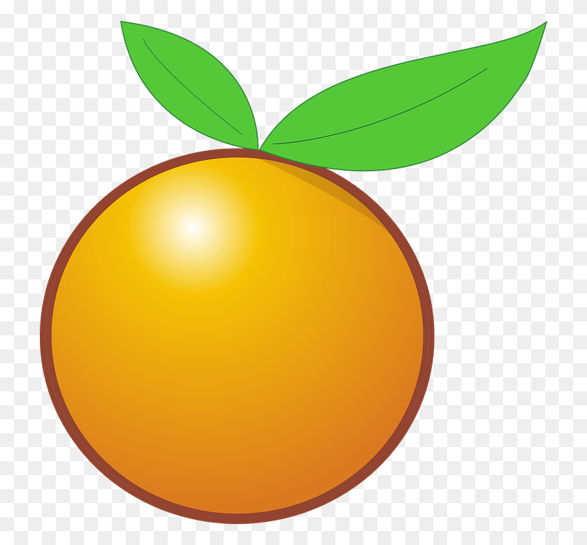 726x720 Orange Fruit Citrus Healthy Cartoon Naranja, Planta, Alimentos, Albaricoque Hd Png
