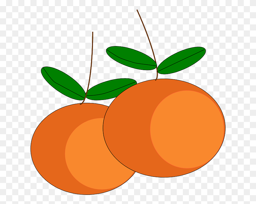 640x609 Orange Fruit Clipart Orange Tree Mandarin Orange Cartoon, Plant, Food, Produce HD PNG Download