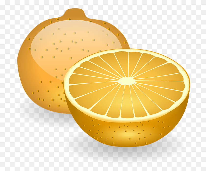 717x638 Orange Fruit Slices Food Citrus Fresh Healthy Fetta Arancia Illustrazione, Plant, Citrus Fruit, Lemon HD PNG Download