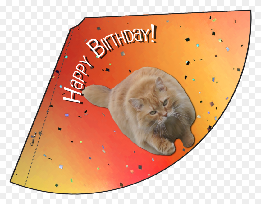 972x744 Orange Happy Birthday Hat, Cat, Pet, Mammal HD PNG Download