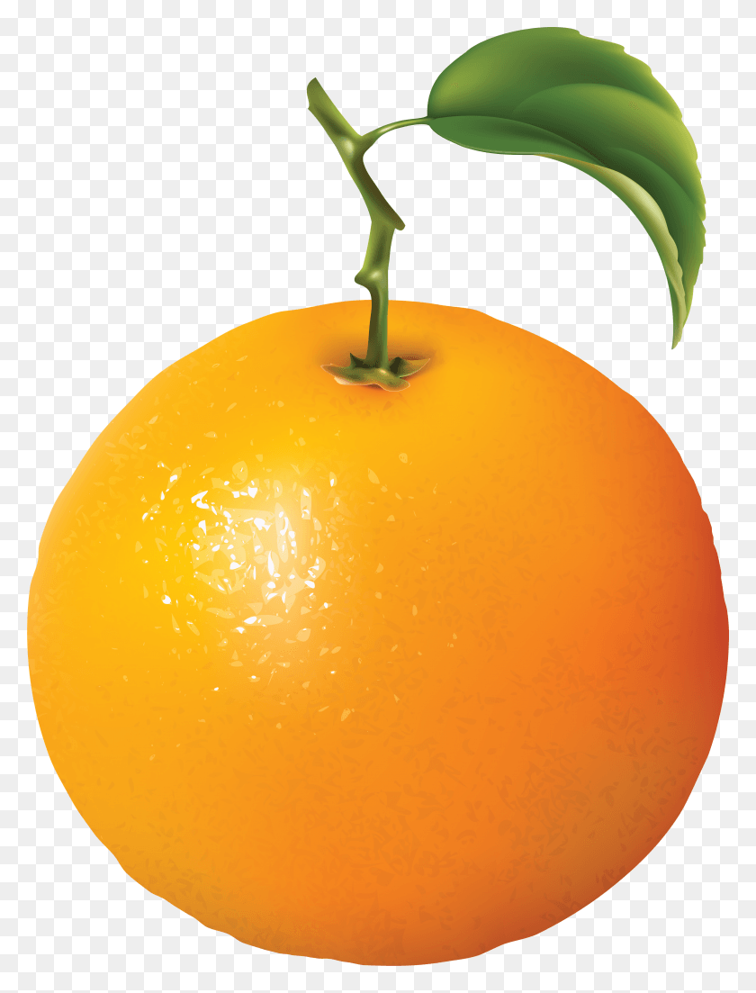 3163x4231 Orange Image Free Cool Orange Juice, Citrus Fruit, Fruit, Plant HD PNG Download