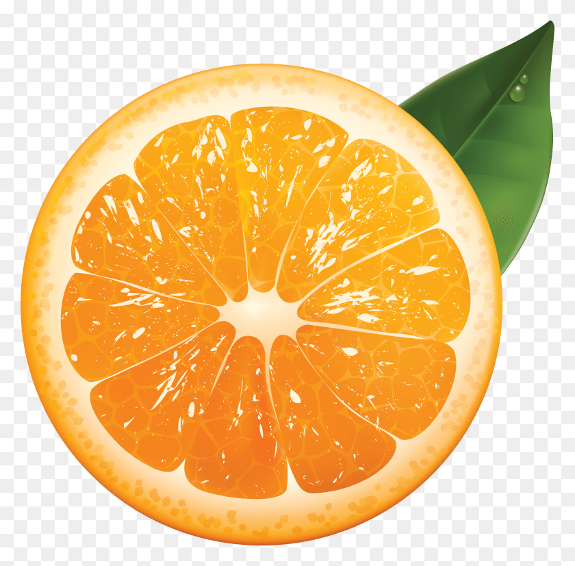 4890x4809 Naranja, Naranja, Cítricos, Fruta, Planta Hd Png