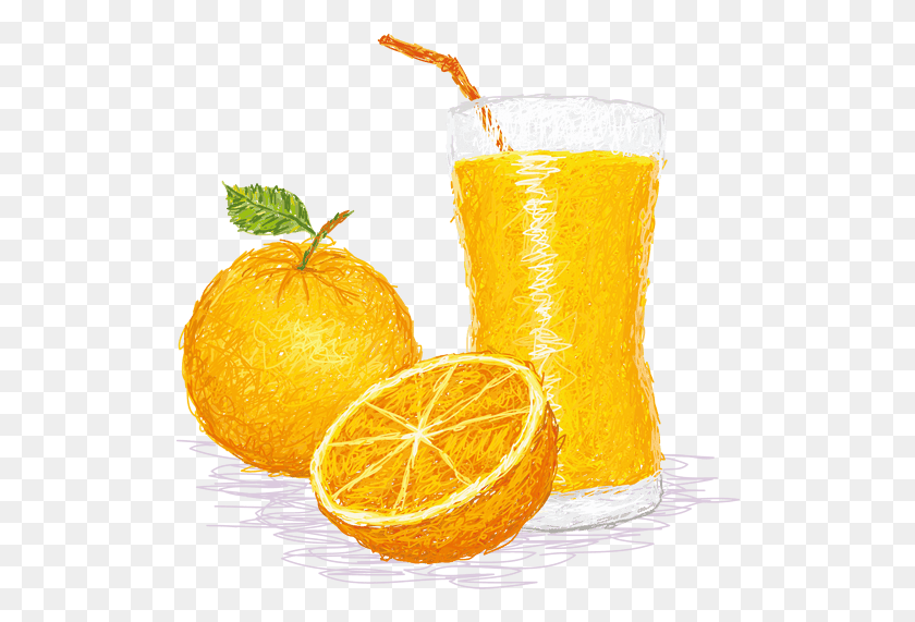 518x511 Orange Juice Juice Orange Drink Jus D Orange Logo, Beverage, Plant, Citrus Fruit HD PNG Download