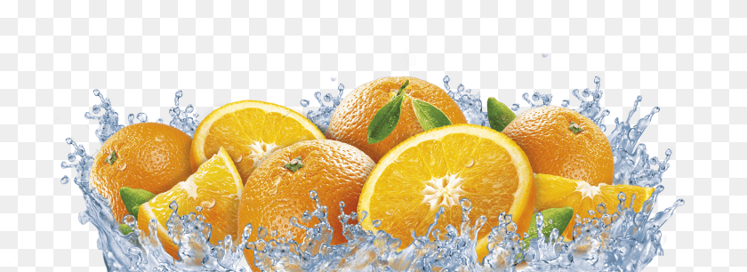 2052x748 Orange Orange, Citrus Fruit, Food, Fruit, Grapefruit Transparent PNG