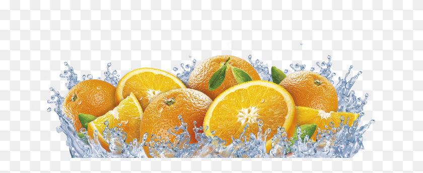 2052x748 Апельсин Апельсиновый Фрукт Граница, Цитрусовые, Растение, Еда Hd Png Скачать