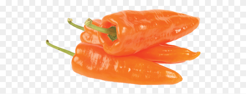 532x261 Orange Pointed Peppers Orange Pepper Transparent, Plant, Vegetable, Food HD PNG Download
