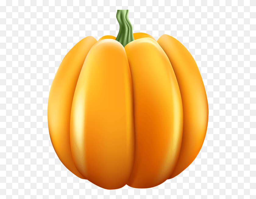 531x593 Orange Pumpkin Clip Art Image Zucchini, Plant, Vegetable, Food HD PNG Download