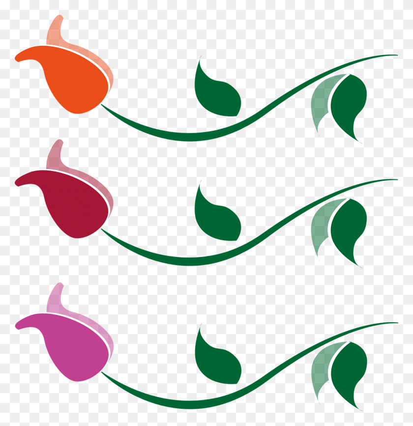 1237x1280 Orange Red Wine Red Pink Flower Image Drawing Logo Rose, Graphics, Floral Design HD PNG Download