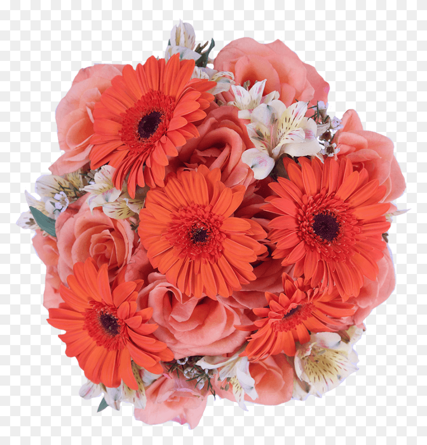 864x906 Orange Sherbet Barberton Daisy, Plant, Flower, Blossom HD PNG Download