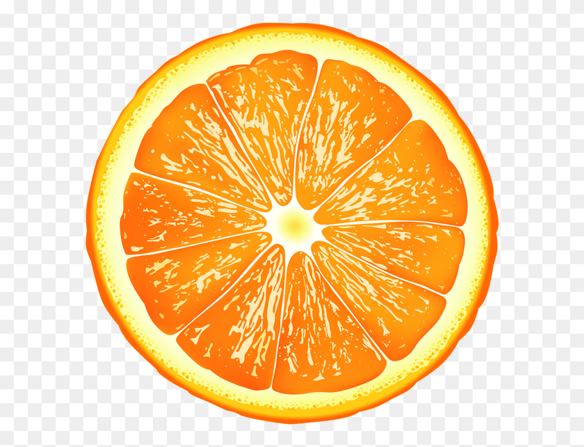 600x583 Orange Slice Clip Art Orange Slice, Orange, Citrus Fruit, Fruit HD PNG Download