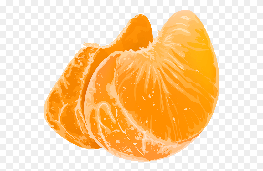 563x487 Descargar Png / Diseño De Rodaja De Naranja Jeruk, Fruta Cítrica, Planta Hd Png