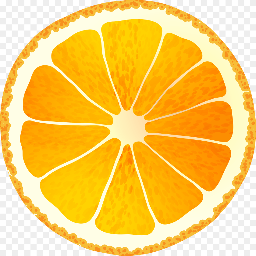 7875x7865 Orange Slice High Resolution Orange Slice, Citrus Fruit, Food, Fruit, Grapefruit Sticker PNG