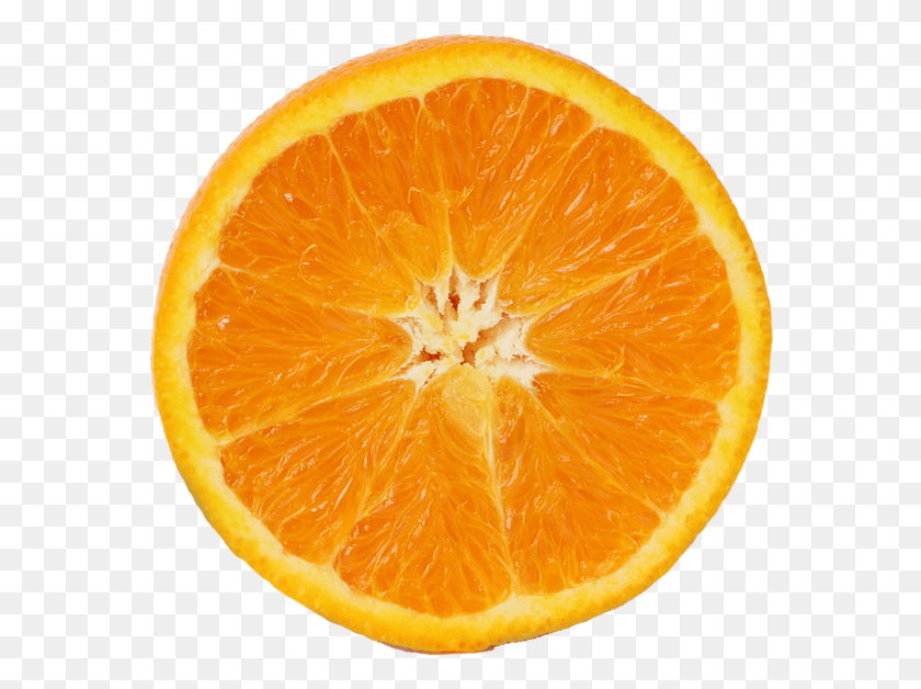 570x568 Orange Slice Sweet Orange Essential Oil Benefits, Citrus Fruit, Fruit, Plant HD PNG Download
