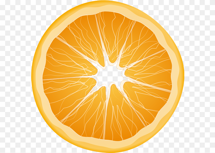 Orange Transparent All Orange Slice Citrus Fruit, Food, Fruit, Plant Clipart PNG